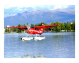 Buy Red Floatplane landing in Anchorage Alaska at AllPosters.com