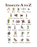 Buy Insects A to Z at AllPosters.com