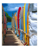 Row of Colorful Surfboards, Waikiki Beach