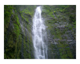 Buy Waterfall at AllPosters.com