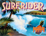Buy Surf Rider at AllPosters.com