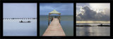 Buy Serenite Madagascar at AllPosters.com