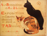 Cats