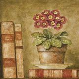 Buy Potted Flowers with Books V at AllPosters.com