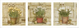 Potted Flowers, Three Panels I