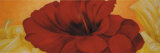 Buy Red Flower at AllPosters.com