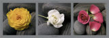 Buy Roses et Galets at AllPosters.com