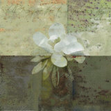 Buy Floral with Cursive IV at AllPosters.com