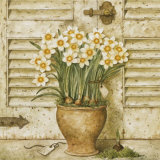 Potted Flowers I