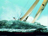 Kookaburra - America's Cup