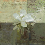 Buy Floral with Cursive IV at AllPosters.com