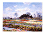 Tulip Fields at Sasenheim Art Print