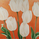 Buy White Tulips at AllPosters.com