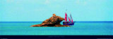 Buy Hawksbill, Antigua at AllPosters.com