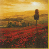 Buy Shades of Poppies at AllPosters.com