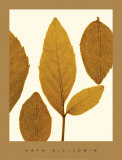 Buy The Park at AllPosters.com