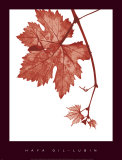 Buy Red Bud at AllPosters.com