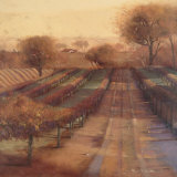 Buy Vineyard Vista at AllPosters.com