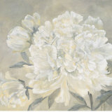 Buy Paeonia I at AllPosters.com