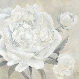 Buy Paeonia II at AllPosters.com