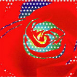 Buy Katsu Flower IV at AllPosters.com