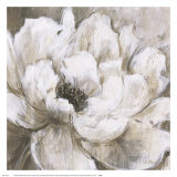 Buy Peonies Blanche II at AllPosters.com