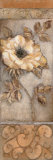Buy Pale Peony I at AllPosters.com