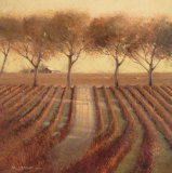 Buy Vintage Sunlit Vineyard at AllPosters.com