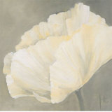 Buy Poppy in White III at AllPosters.com