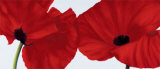 Red II
