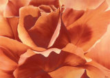 Buy Full in Bloom II at AllPosters.com