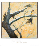 Winter Birds