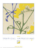Buy Tropical Impressions III at AllPosters.com