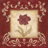 Scarlet Shine II