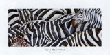 Buy Zebras's Sea at AllPosters.com