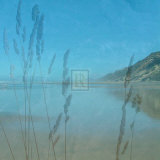 Buy Secret Cove II at AllPosters.com