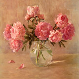 Buy Peonies at AllPosters.com