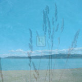 Buy Secret Cove I at AllPosters.com