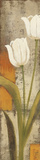 Buy Fresco Flowers II at AllPosters.com