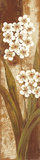 Buy Tropical Blossom II at AllPosters.com