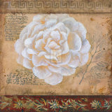 Buy Bonita V at AllPosters.com