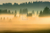 Buy Misty Ridge I at AllPosters.com