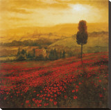 Buy Shades of Poppies at AllPosters.com