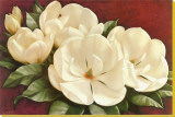 Magnolia Crimson I