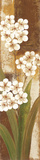 Buy Tropical Blossom I at AllPosters.com