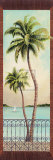 Buy Colonial Palm II at AllPosters.com