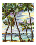Buy Bahamas Palms & Beach at AllPosters.com