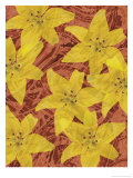 A Texture of Yellow Flowers
