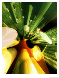 Buy Technology Beam Texture at AllPosters.com