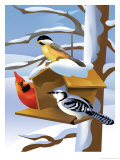 A Bluebird, Cardinal, and Finch Sitting by a Birdfeeder